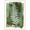 Gerahmter Digitaldruck White Fern
