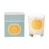 Duftkerze Parks Exclusive No. 6 (Limette & Zitrone)